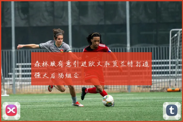 森林狼有意引进欧文和莫兰特打造强大后场组合
