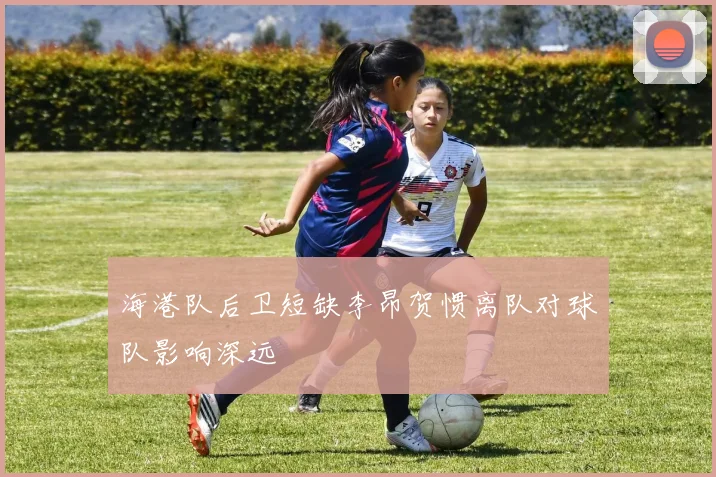 海港队后卫短缺李昂贺惯离队对球队影响深远