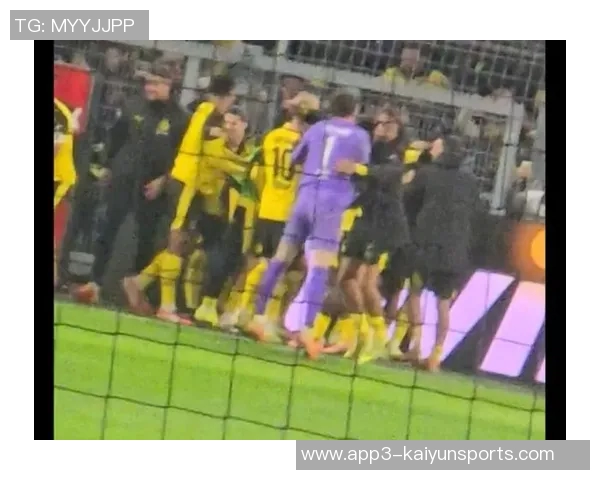 绝杀时刻!拜尔狂奔释放激情难以自控庆祝方式成谜 绝杀时刻!拜尔狂奔释放激情难以自控庆祝方式成谜